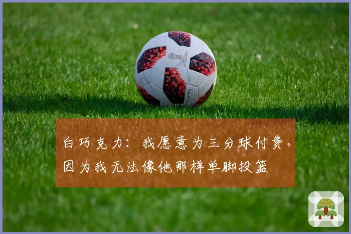 白巧克力：我愿意为三分球付费，因为我无法像他那样单脚投篮
